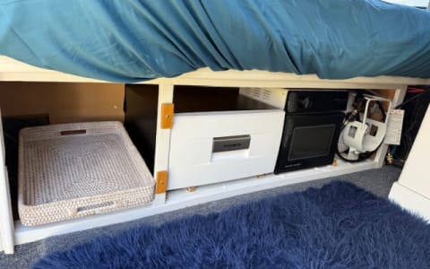 The Shiner | Cozy Vintage Cruiser