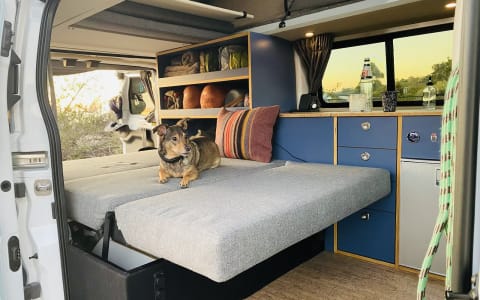 101 Beach Van