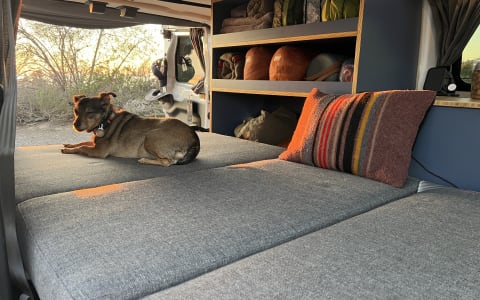 101 Beach Van