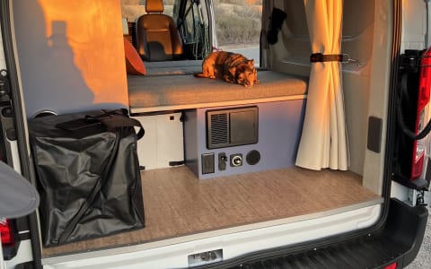 101 Beach Van