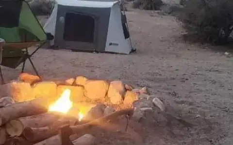 Kodiak Canvas Tent - Flex Bow VX