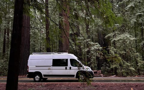 Sunni the Van - pet friendly | hot shower | AC | s