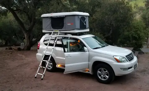 Roofnest Sparrow, barely used