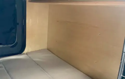 2019 Outbound T-Rex