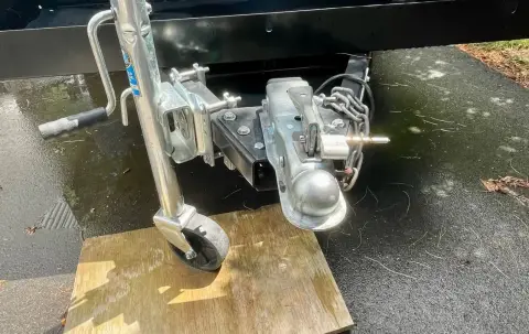 2019 Outbound T-Rex
