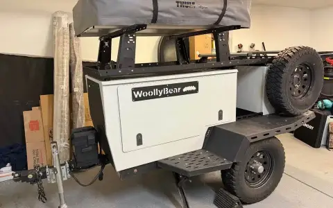 2020 Taxa Woolly Bear