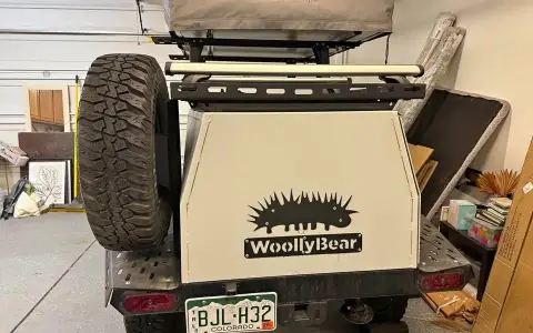 2020 Taxa Woolly Bear