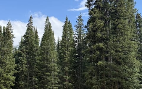 Mira: The all-season, family-friendly 4x4 TOURIG S