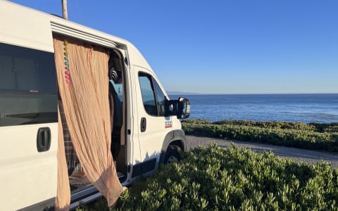 Libre in the Bay