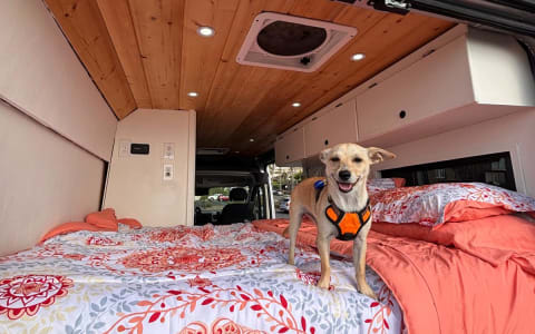 SoCal Van Life