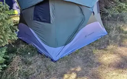 Gazelle T4 Hub Tent - Alpine Green