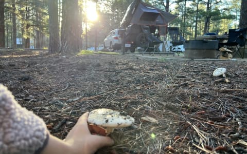 Rugged and Comfy - a Glampventurous Experience