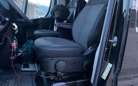 Living la Vida Luna - 2019 Ram Promaster Hightop w