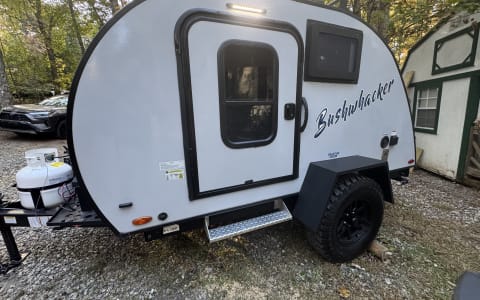 Braxton Creek Bushwhacker 10HD Minnow-Campers