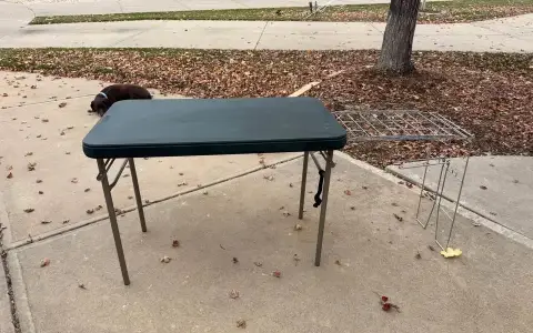 Lifetime Tailgate Table with Fold-Out Extension