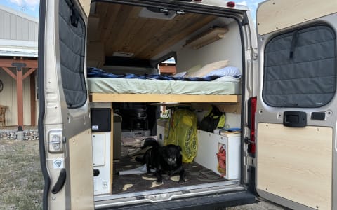 Lucky Dog Van
