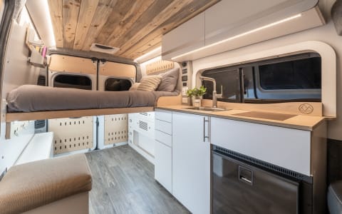 Lucky Dog Van