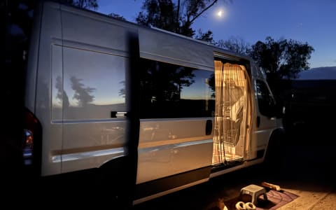 Lucky Dog Van