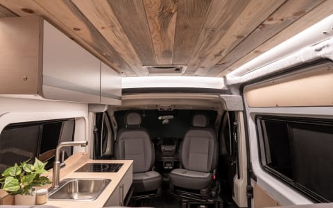 Lucky Dog Van