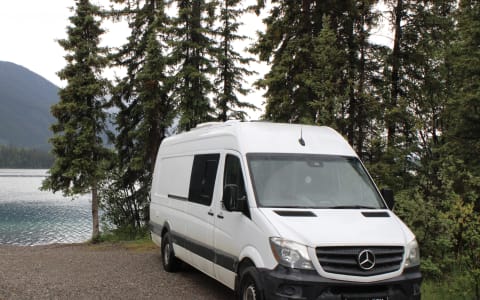 Sprinter campervan delivery to Disneyworld ft wild
